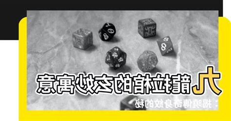 九龍拉棺意思