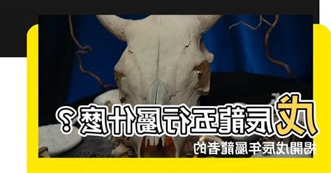 戊辰龍五行