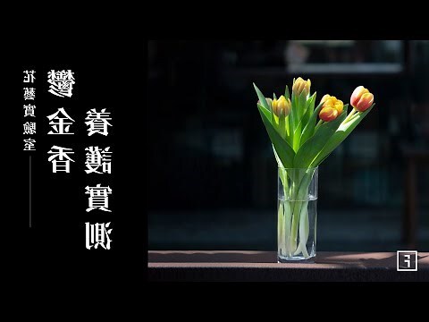 鬱金香花語顏色