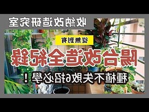 陽台垃圾桶