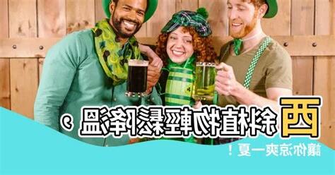 西斜植物