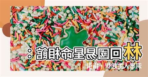 林回國易星命相館
