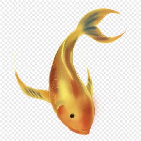 金色的魚