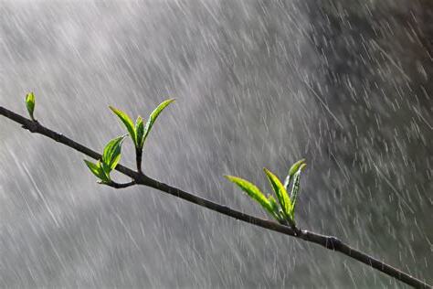 為何會下雨