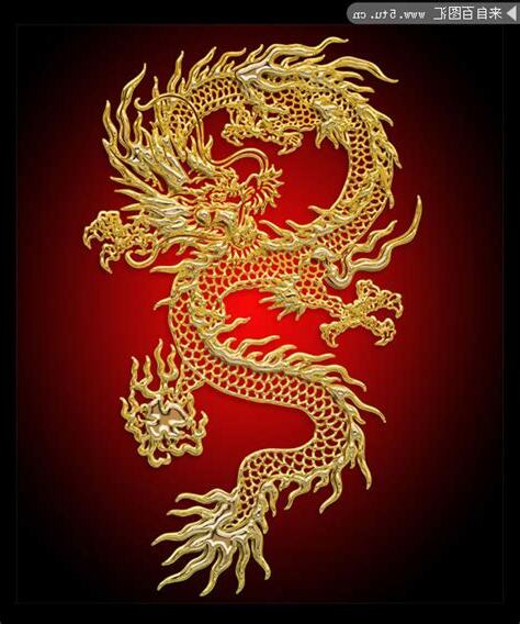 金龍圖片