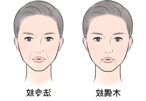 木偶紋