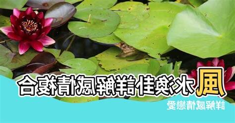 風水渙感情