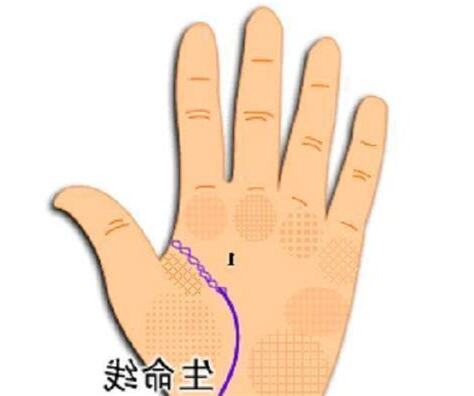 龜卦準嗎