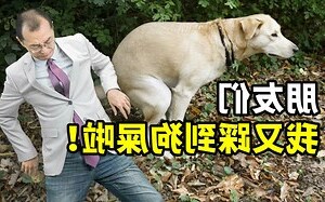 當上帝踩到狗屎