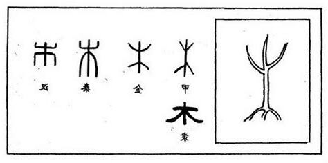 木部首的字男寶寶