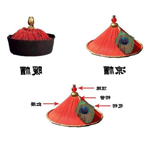 頂戴花翎意思