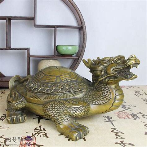 龍龜擺放方法