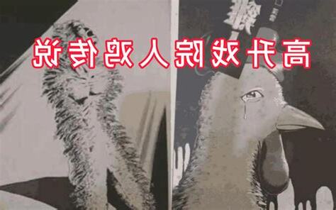 鸡人
