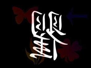 汐名字