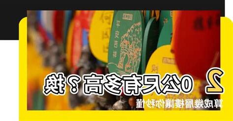 20層樓高度