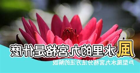 房子風水命理九宮格