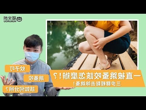 房間內有跳蚤