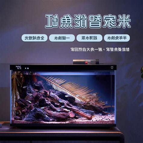 辦公室水族箱風水
