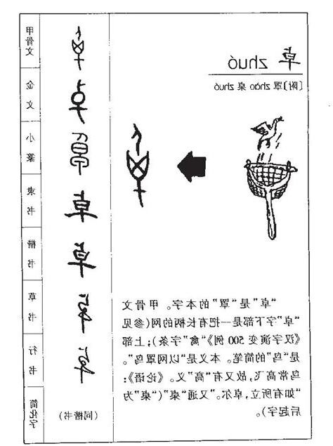 卓字五行