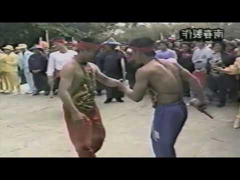 乙亥年1995