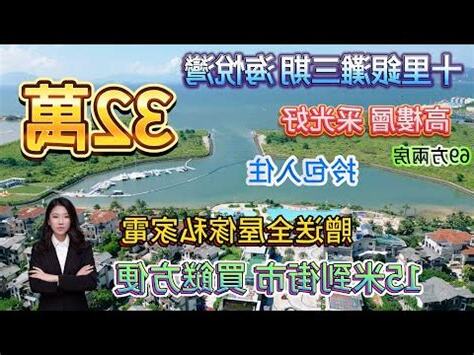 蓮塘口岸上蓋樓盤