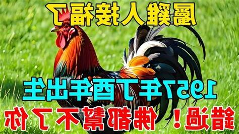 1957屬雞2022運勢