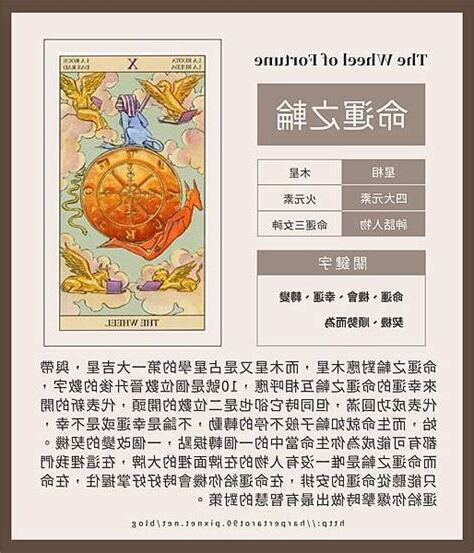 命運意思