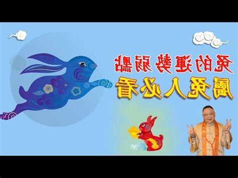 屬兔個性