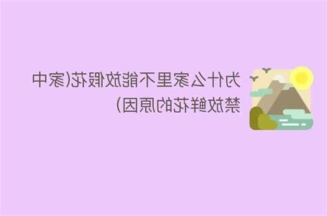 家中不放假花