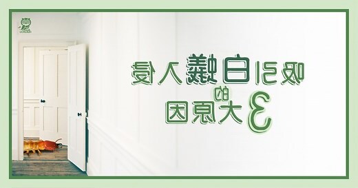 白蟻出現代表什麼