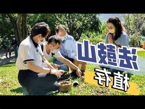 法鼓山樹葬費用