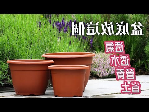 煙灰缸裡面要放什麼