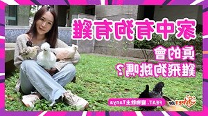 狗雞配