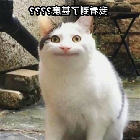 看到了嗎
