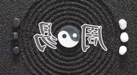 履卦感情