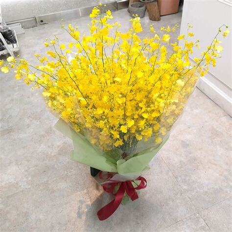 文心蘭花束