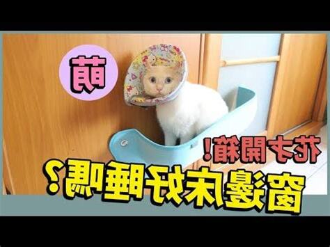 窗邊牀