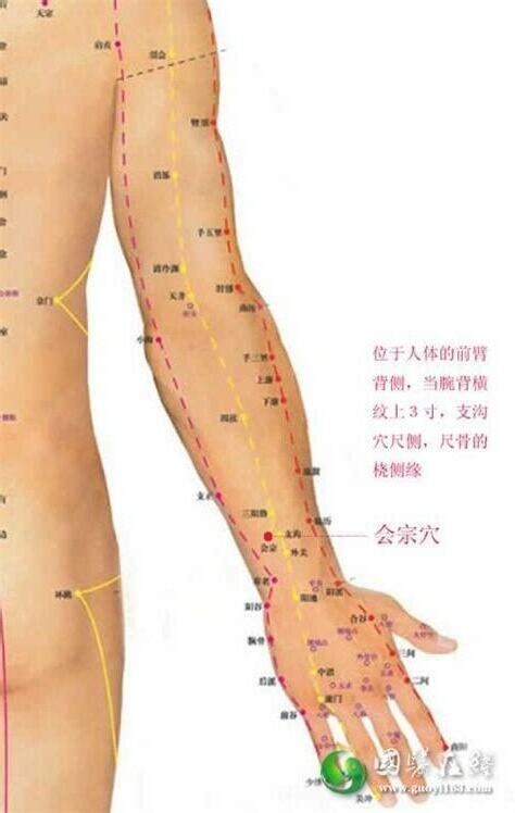 臂儒穴