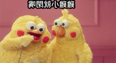 雞閉你
