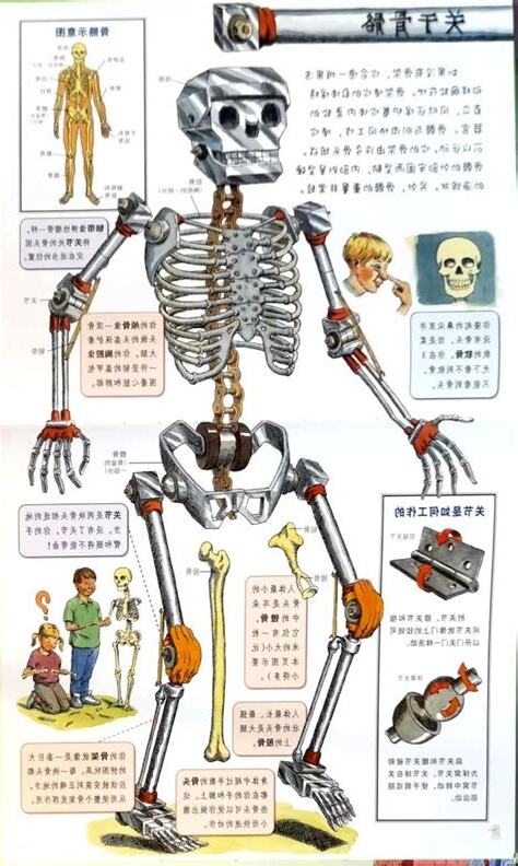 骨頭怎麼畫