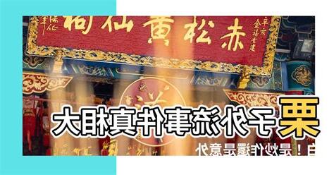 栗子外流解釋
