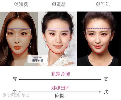 臉型怎麼看
