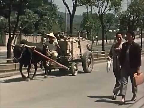 1959年是什麼年