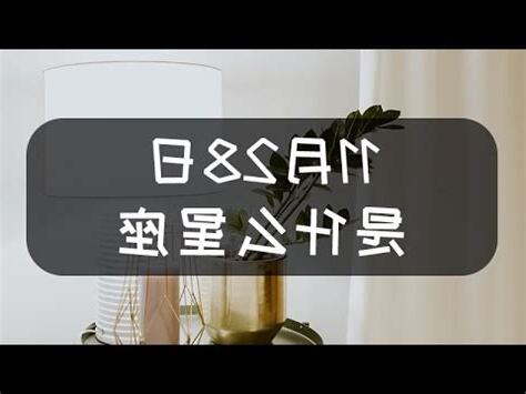 11月28號是什麼星座