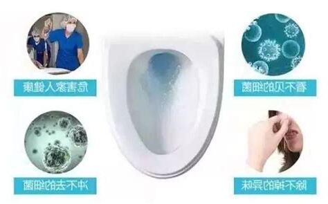 廁所細菌