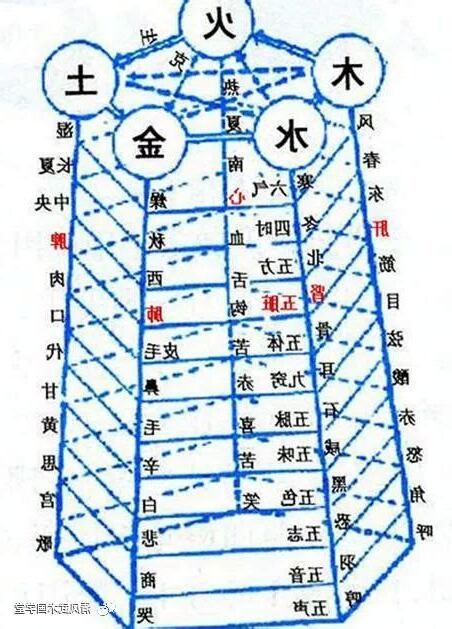 4號人五行