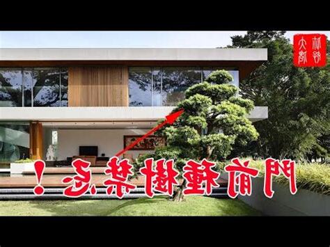門前不能種什麼樹