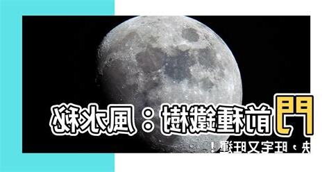 門前種鐵樹