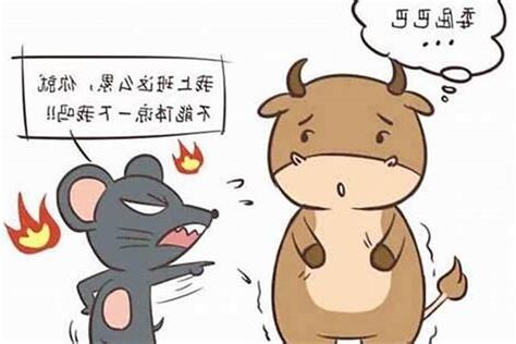 牛鼠配
