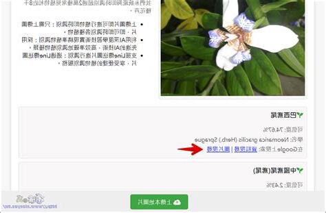 植物查詢